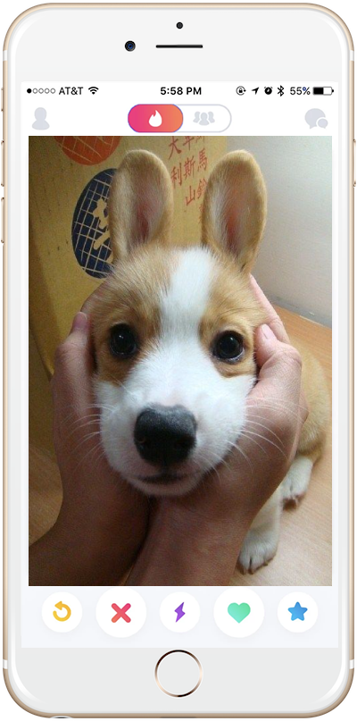 iphone-corgi